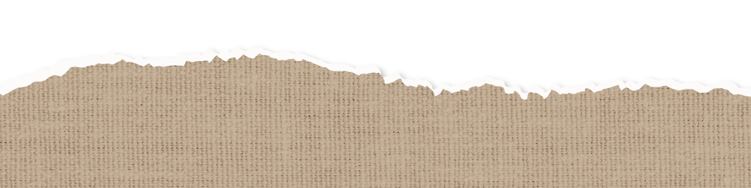 1-Propuesta-Vero-y-Jose-corte-2-cel.png