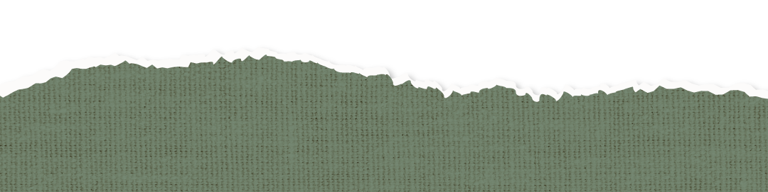 1-Propuesta-Vero-y-Jose-corte-3-cel.png
